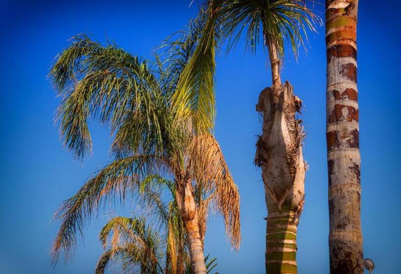 펜션 Palm Beach Resort