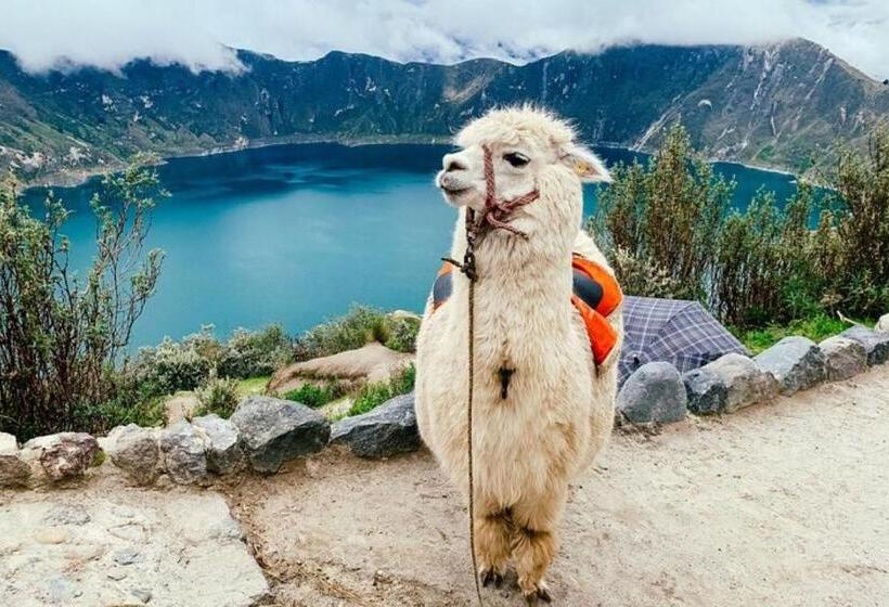 هاستل Hostal Rosim