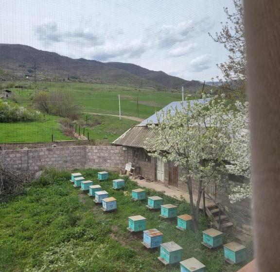 B&b Odzun