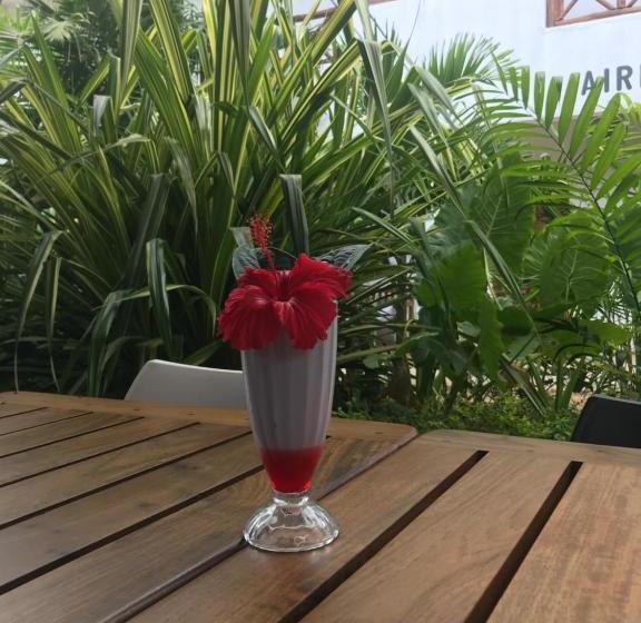 호텔 27 Cafe Zanzibar Airport