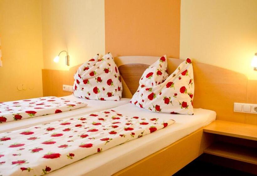 호스텔 Gästehaus Geigenbauer