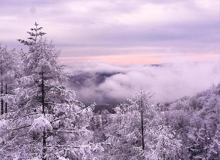 هاستل Hakuba Cortina Backpackers