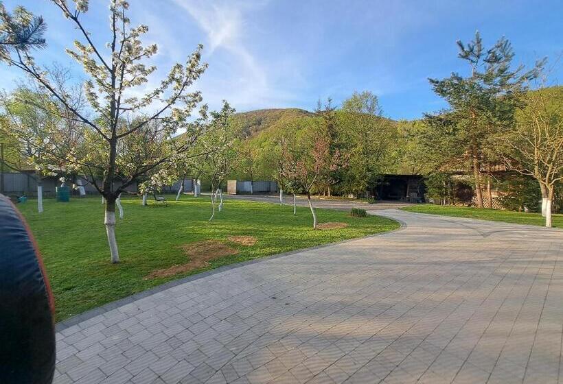 بنسيون Solomiia