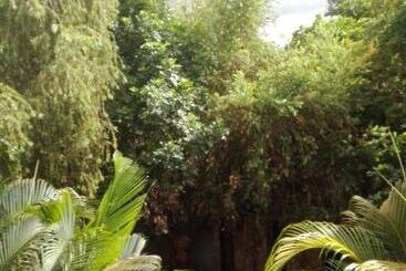هتل The Paradise In Kilimanjaro