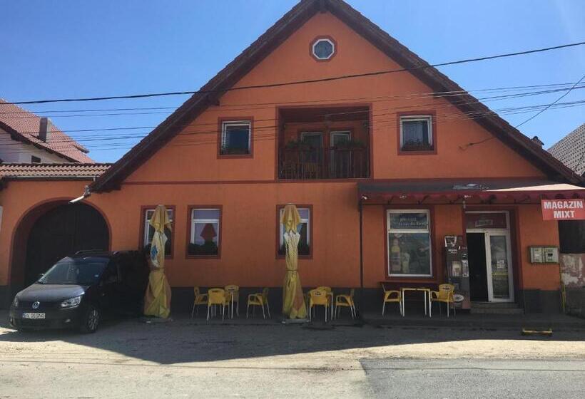 Пансион Casa Cosmin Cincu