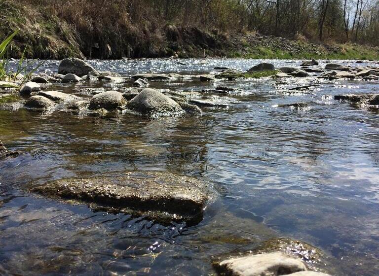 膳宿费 Penzión Roal Pieniny