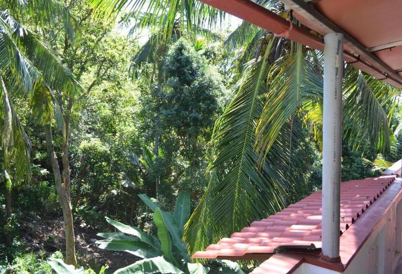 تختخواب و صبحانه Hansa Villa