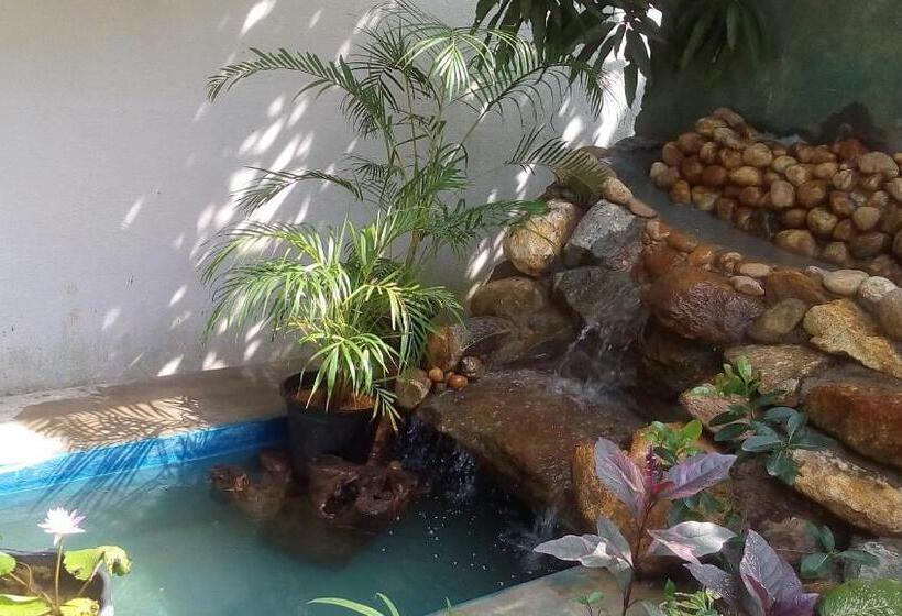 تختخواب و صبحانه Hansa Villa