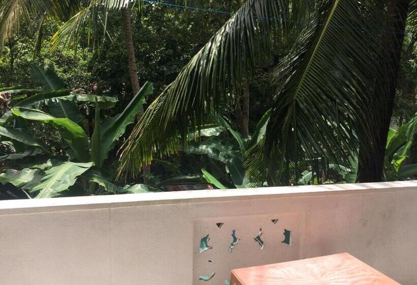تختخواب و صبحانه Hansa Villa
