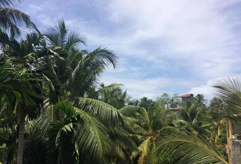 تختخواب و صبحانه Hansa Villa