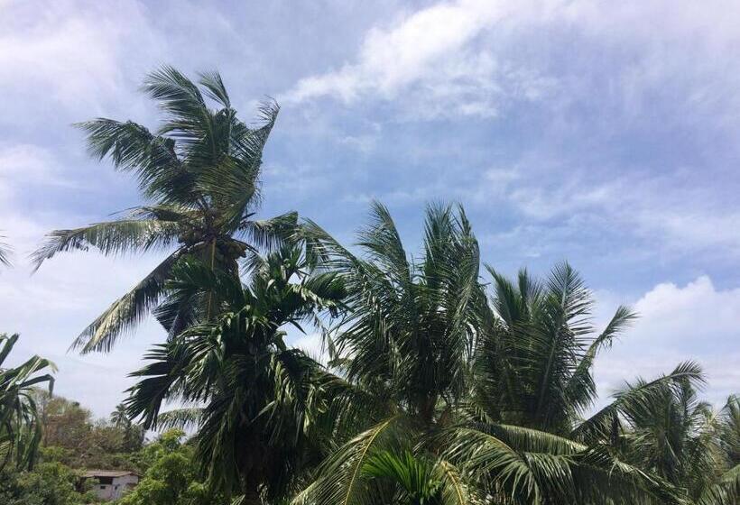 تختخواب و صبحانه Hansa Villa