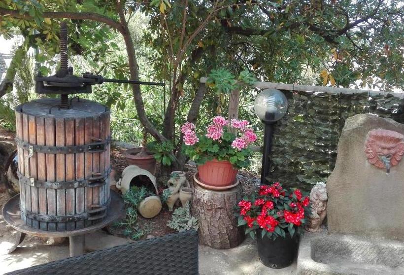 ペンション Affittacamere La Vigna