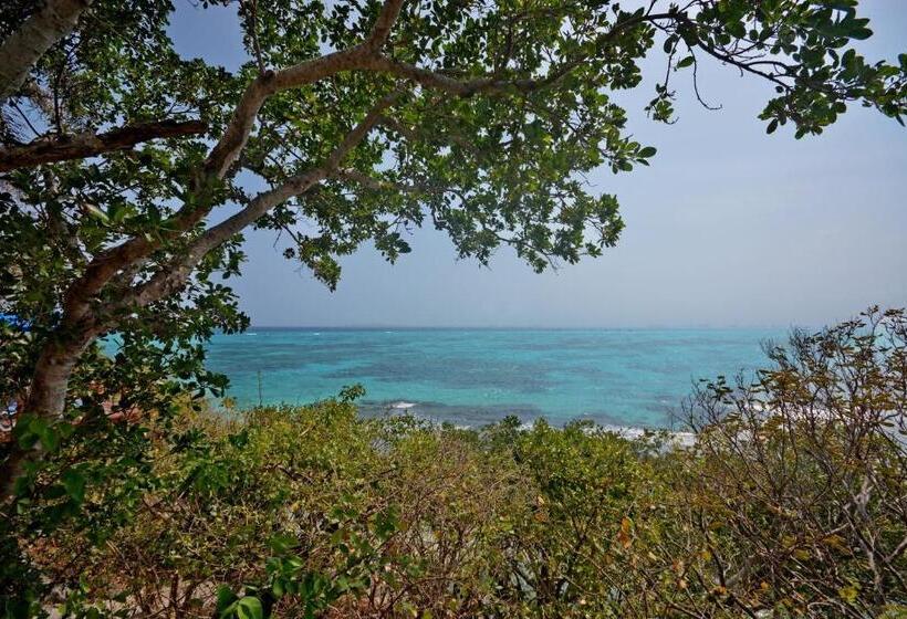 هتل La Joya Isla Mujeres