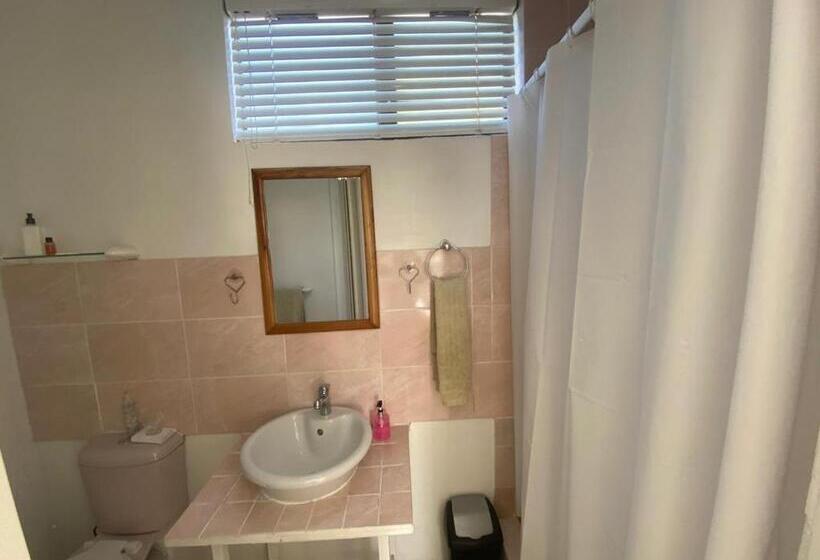 تختخواب و صبحانه Au Plais De Langebaan At Palm Tree Villa