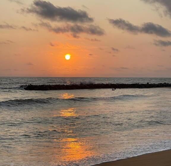 تختخواب و صبحانه Coconut Bay