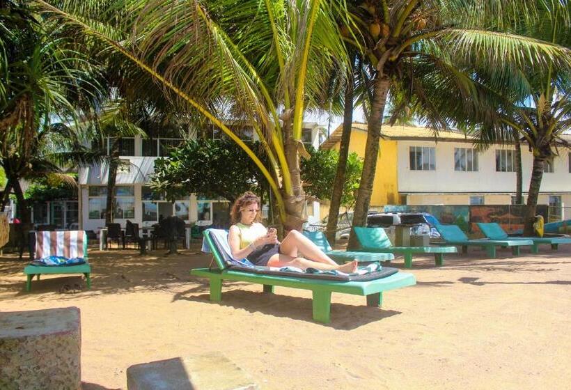 تختخواب و صبحانه Coconut Bay