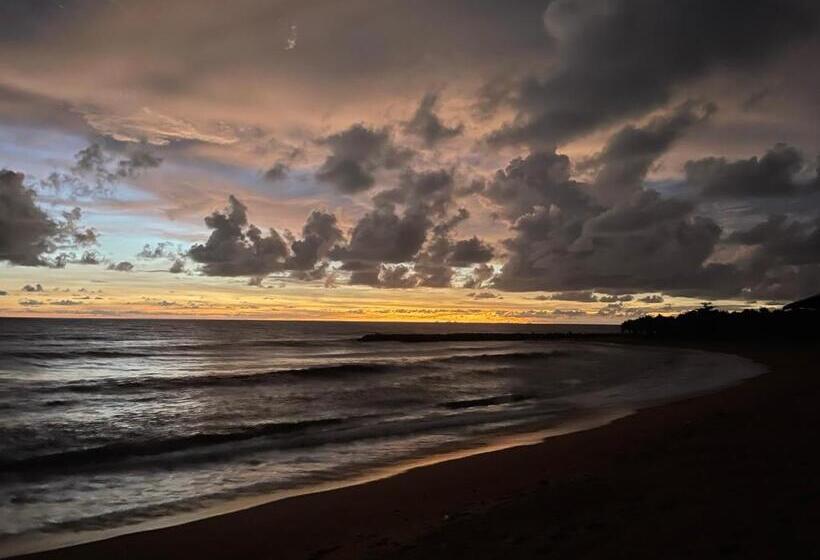 تختخواب و صبحانه Coconut Bay