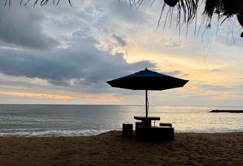 تختخواب و صبحانه Coconut Bay