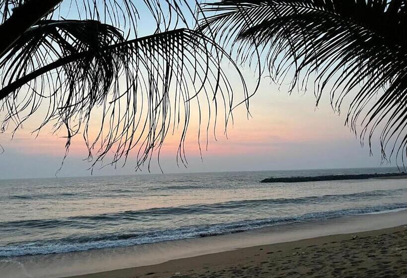 تختخواب و صبحانه Coconut Bay