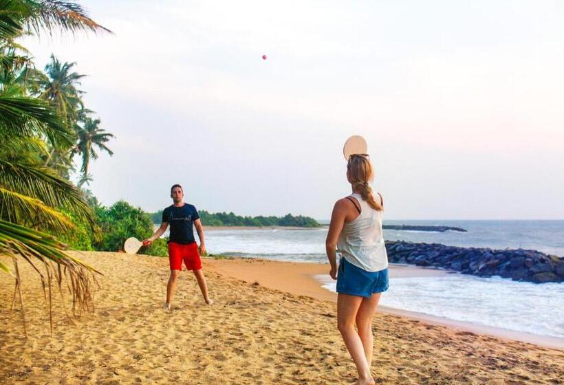 تختخواب و صبحانه Coconut Bay