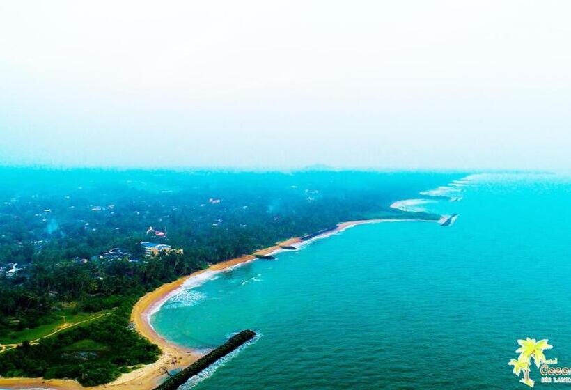 تختخواب و صبحانه Coconut Bay