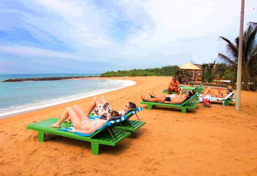 تختخواب و صبحانه Coconut Bay