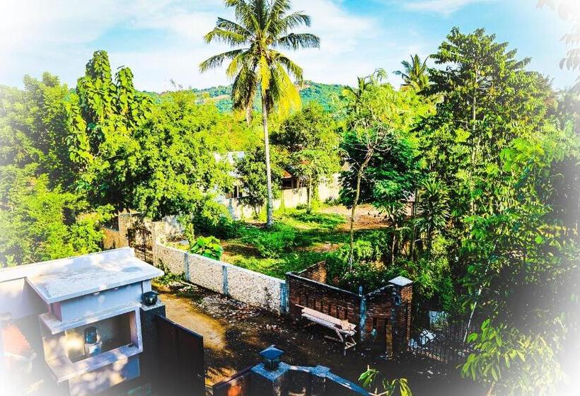 تختخواب و صبحانه Lazy Inn Kuta Lombok