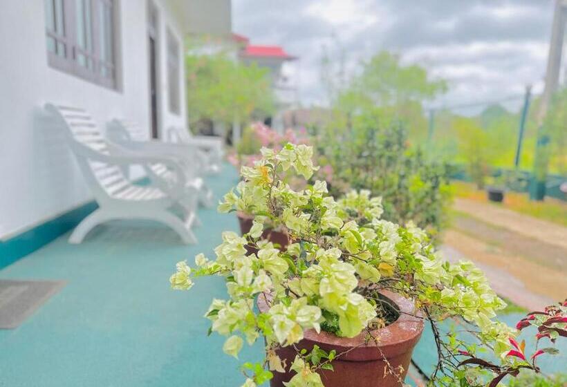 New Peacock Resort