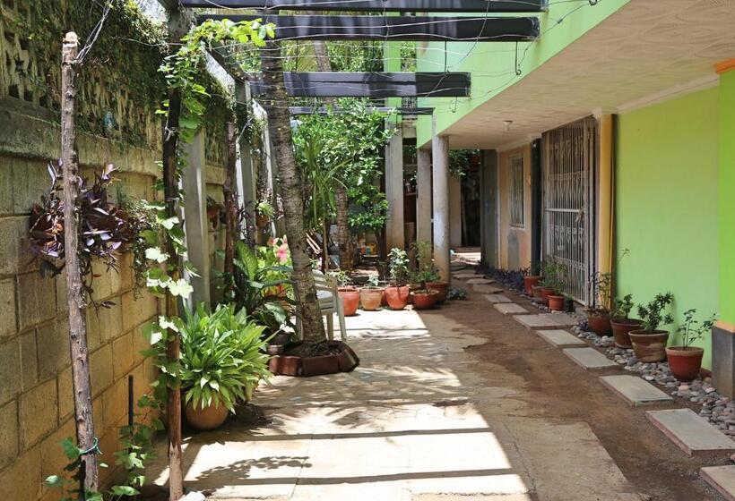 تختخواب و صبحانه Hostal San Antonio