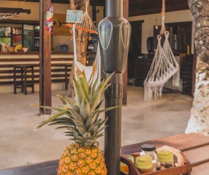 Fotos del hotel Capri Beach House:  12