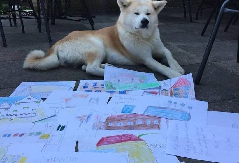 Hostel Fredensborg Vandrerhjem, I Kongens Baghave