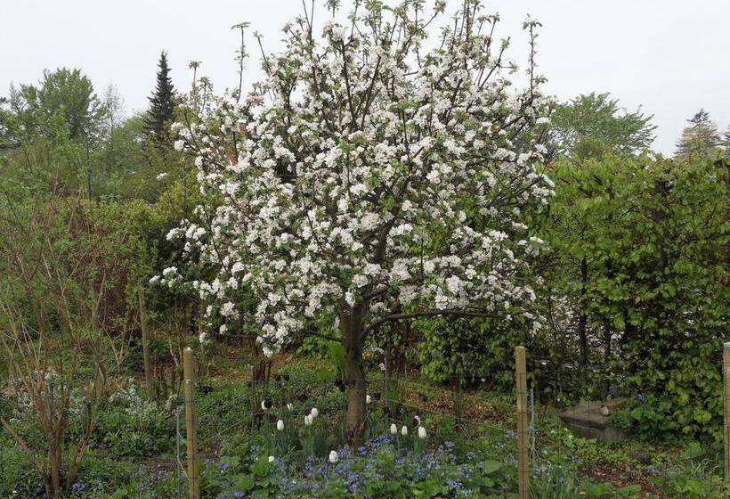 Bed And Breakfast Birkerod