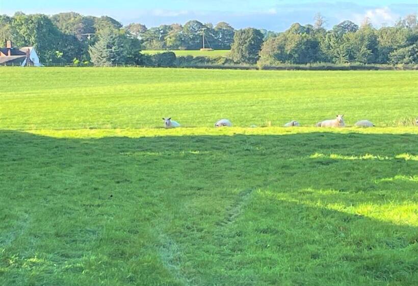 Eagle House   Award Winning B&b And Apartment