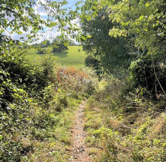 Eagle House   Award Winning B&b And Apartment