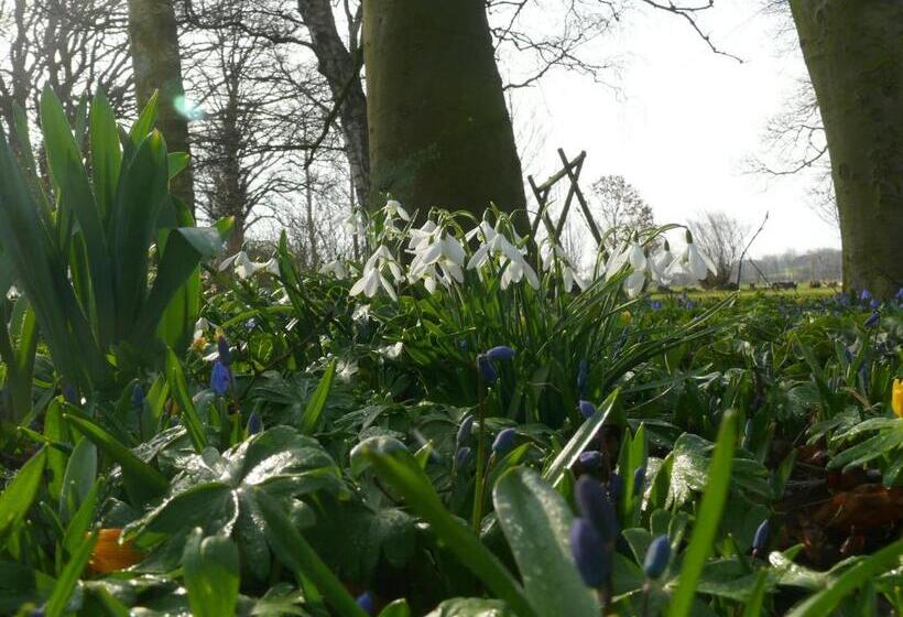 تختخواب و صبحانه Tiendegaarden Møns Klint