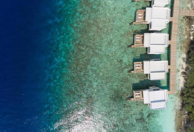 Dhigali Maldives   A Premium All Inclusive Resort