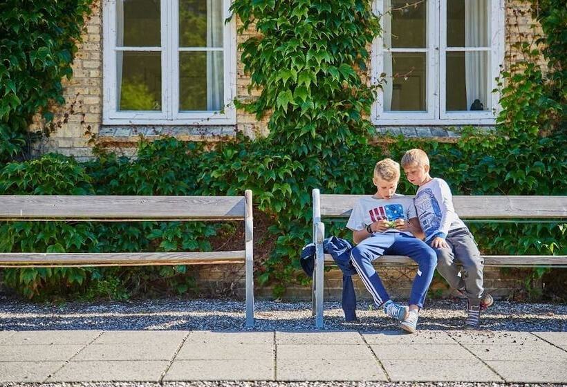 ホテル Danhostel Aarhus