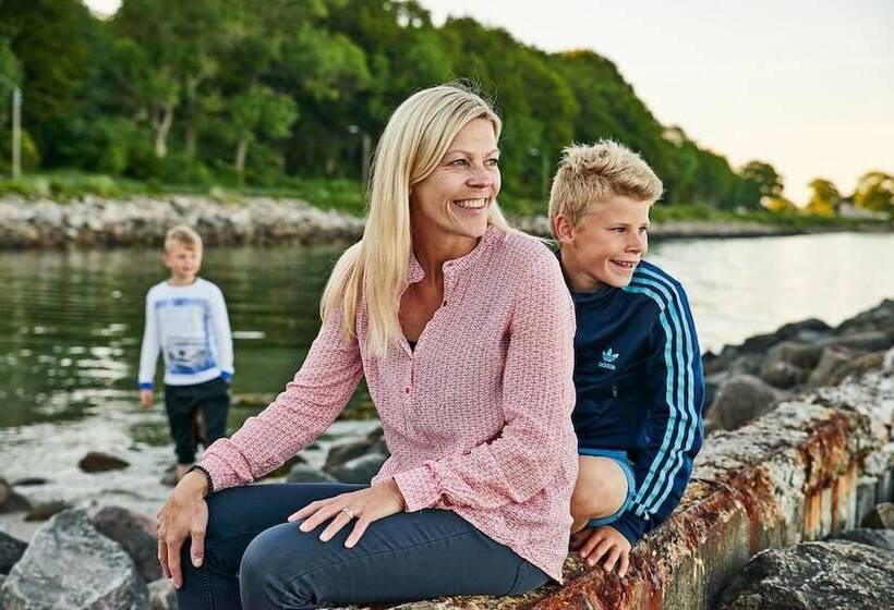 ホテル Danhostel Aarhus