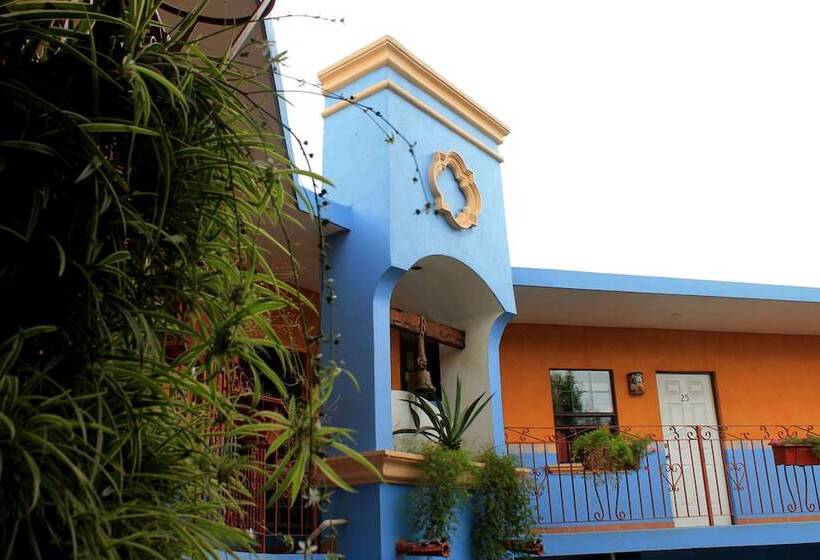 هتل Hacienda Del Viejo
