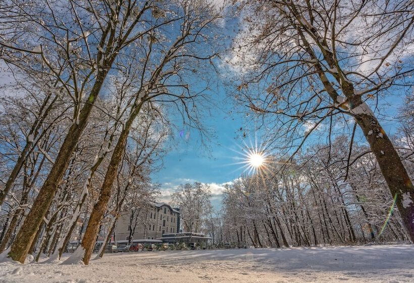 Fotos del hotel Heritage Hotel Krone:  15