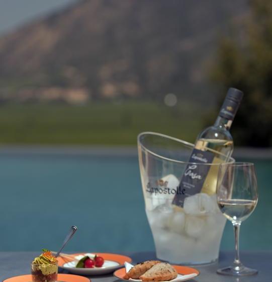 هتل Clos Apalta Residence Relais & Chateaux