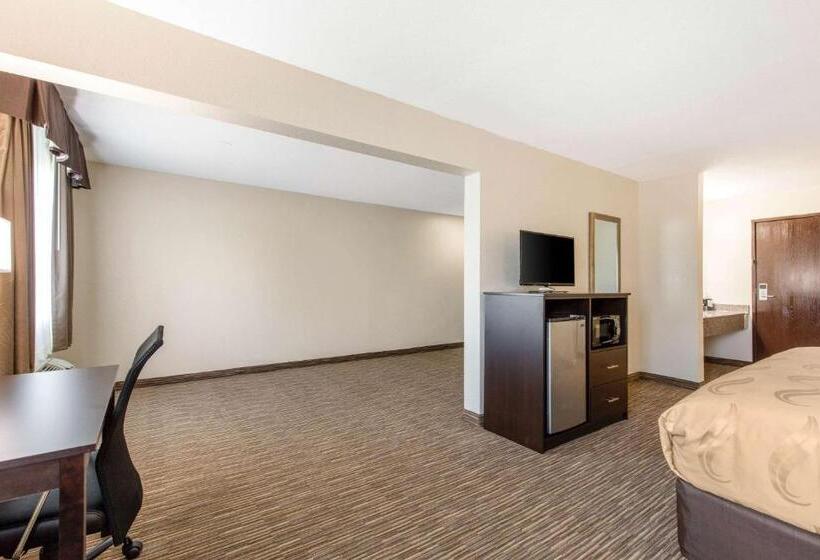 Отель Quality Inn & Suites Metropolis I24