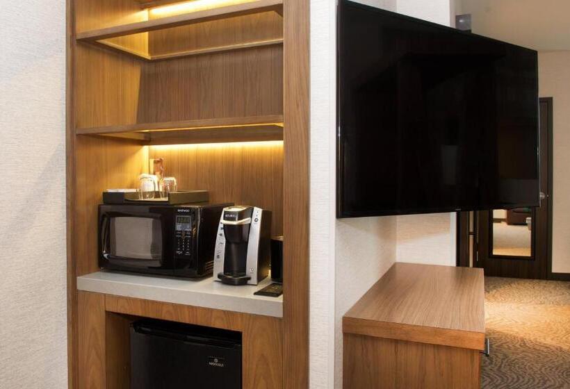هتل Springhill Suites By Marriott Bend