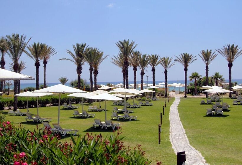 هتل Calimera Delfino Beach Resort & Spa   All Inclusive