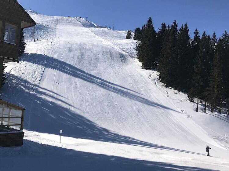 Fotos del hotel Grad:  60