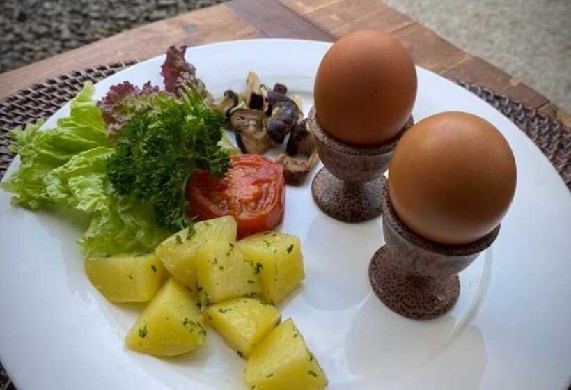 Fotos del hotel Green Bird Villa:  22