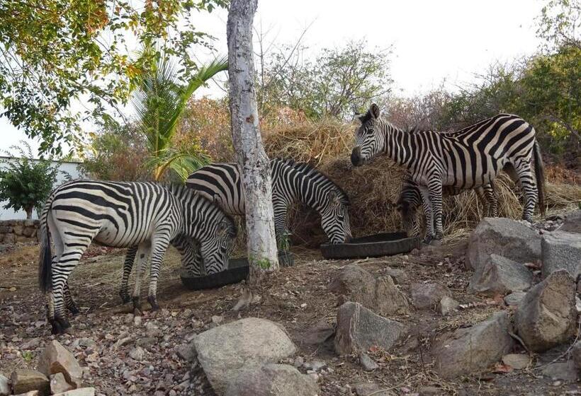 هتل Lake Kariba Inns