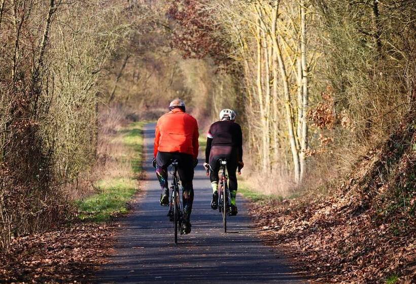 Fotos del hotel Comfort Hotel Frankfurt Airport West:  44