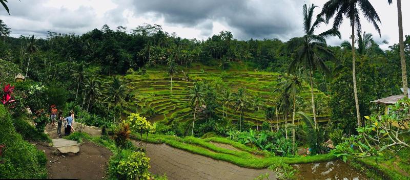 Fotos del hotel Uma Padi Villa:  5