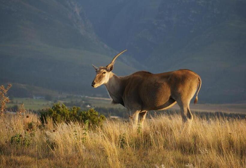 Kwetu Guest Farm